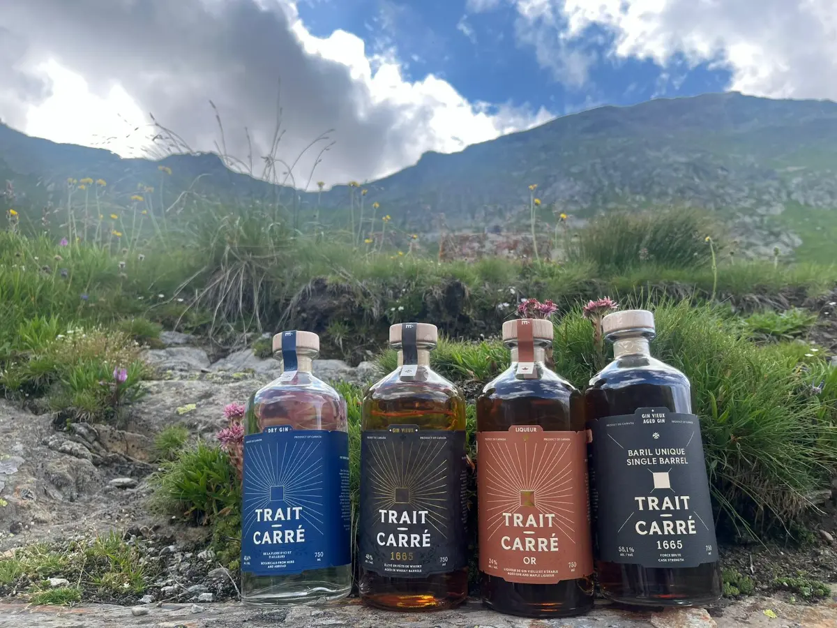 Quatre bouteilles de gin et liqueur d'érable Trait Carré posées sur un muret d'alpage