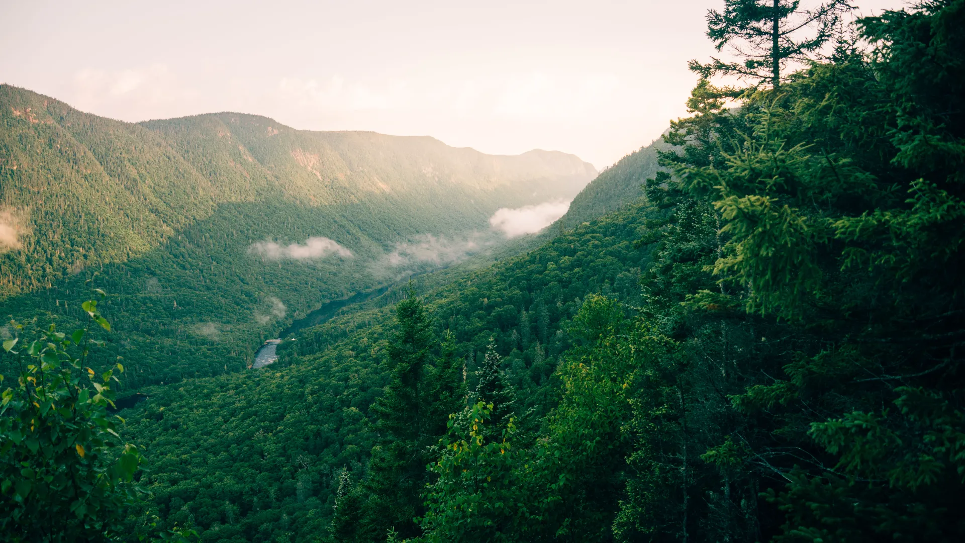 Vallée boisée du Québec, rivière et brume entre les montagnes